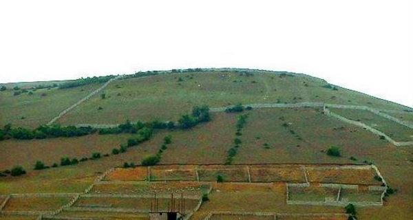 دستور استاندار برای ایجاد کارگروه تخصصی کشت باغات دیم در اراضی شیب دار ایلام