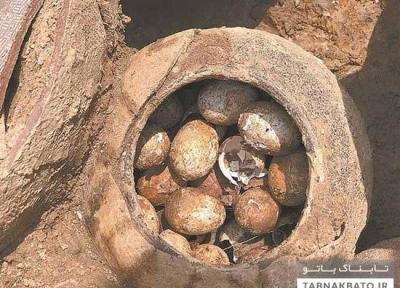 کشف تخم مرغ های 2500 ساله در چین