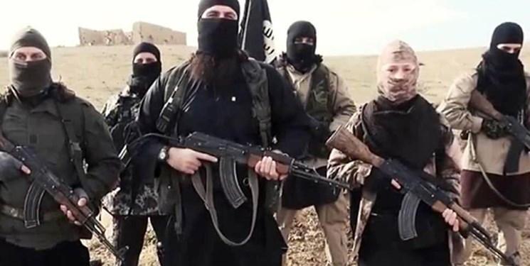 مسکو: دو هزار عضو داعش به اروپا بازگشته اند