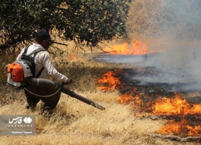 228 هزار هکتار جنگل و مرتع در آتش سوخت ، سال سیاه طبیعت ایران کدام سال بود؟